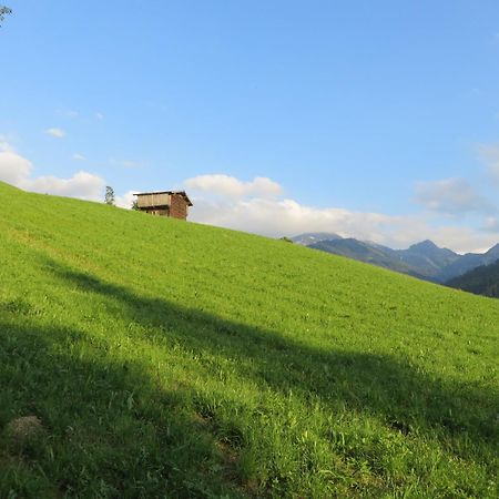 Pension Muehlbachhof Alpbach Dış mekan fotoğraf