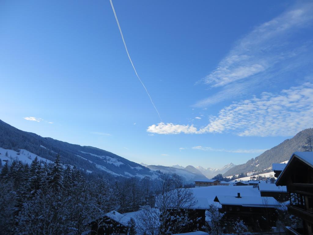 Pension Muehlbachhof Alpbach Dış mekan fotoğraf