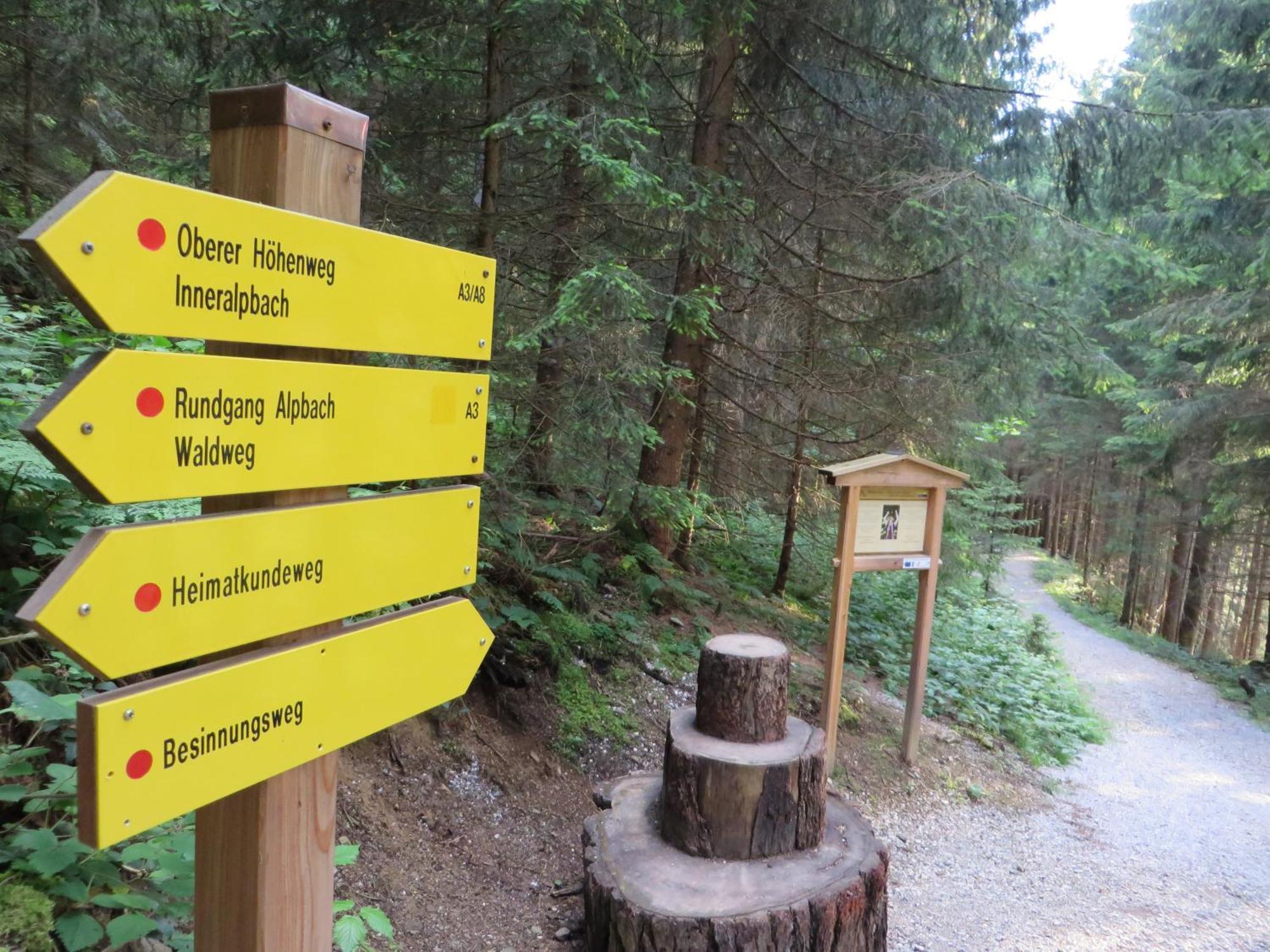 Pension Muehlbachhof Alpbach Dış mekan fotoğraf