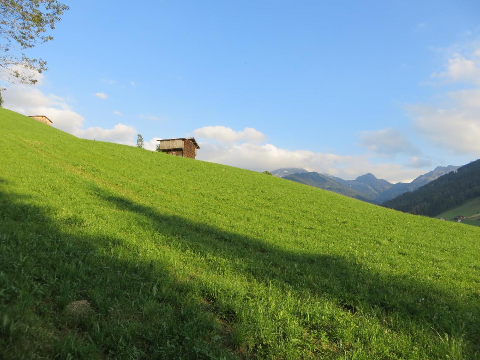 Pension Muehlbachhof Alpbach Dış mekan fotoğraf