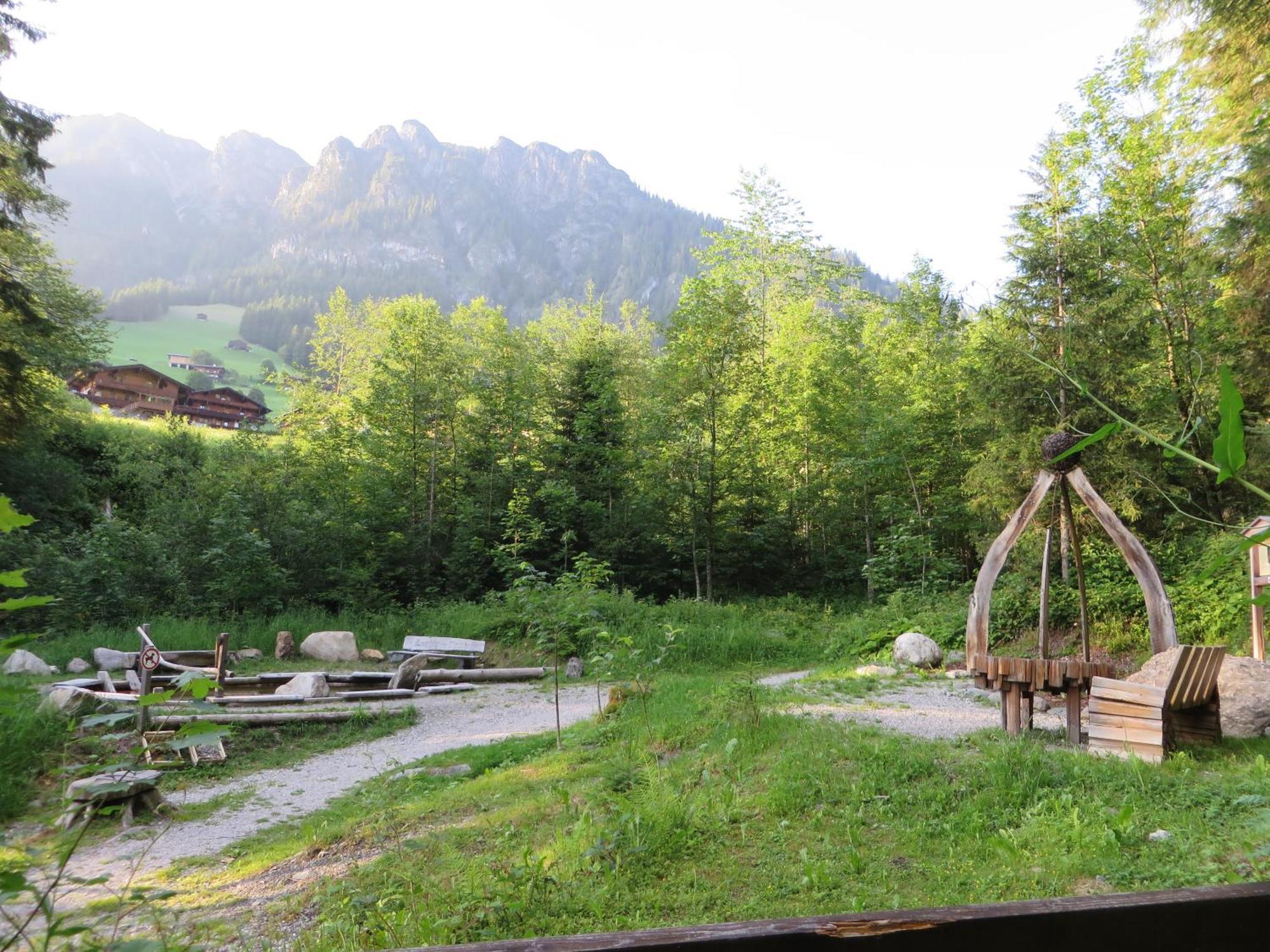 Pension Muehlbachhof Alpbach Dış mekan fotoğraf