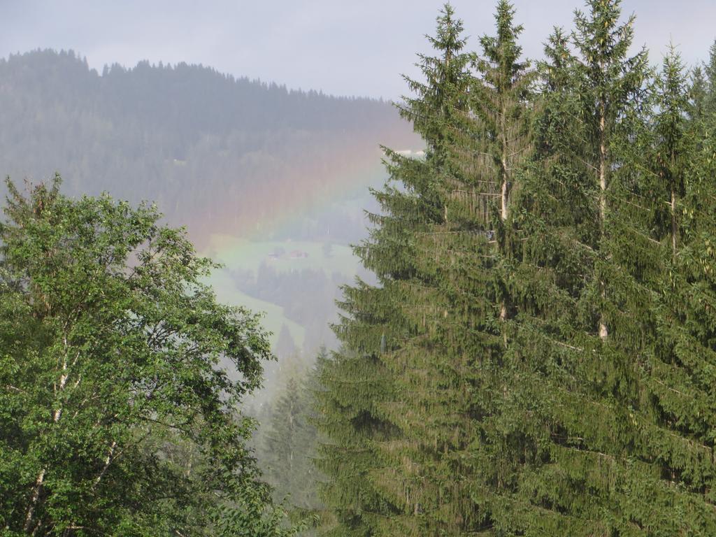 Pension Muehlbachhof Alpbach Dış mekan fotoğraf
