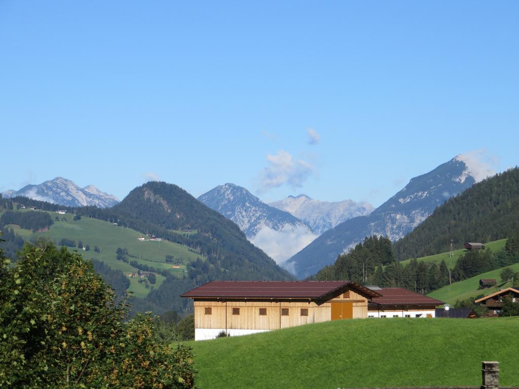 Pension Muehlbachhof Alpbach Dış mekan fotoğraf